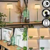 hofstein Algeraz Lampe de table d'extérieur, Lampe à poser LED Vert, 1 lumière* Lampes Modernes