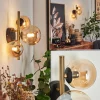 hofstein Applique murale Chehalis LED Laiton, Noir, 3 lumières* Lampes En Verre