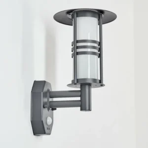hofstein Applique murale d'extérieur Forli Anthracite, 1 lumière, Détecteur de mouvement* Lampes Modernes