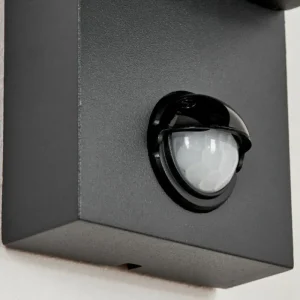 hofstein Applique murale d'extérieur Kingstown Anthracite, Transparent, 2 lumières, Détecteur de mouvement* Lampes Modernes
