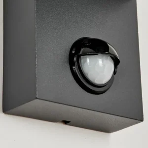 hofstein Applique murale d'extérieur Kingstown Anthracite, Transparent, 1 lumière, Détecteur de mouvement* Lampes Modernes