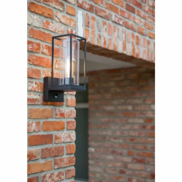 Luminaires Lutec Applique murale d'extérieur Lutec Flair Noir, 1 lumière, Détecteur de mouvement* Lampes En Verre