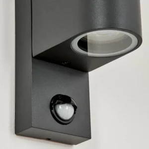 hofstein Applique murale d'extérieur Kingstown Anthracite, Transparent, 2 lumières, Détecteur de mouvement* Lampes Modernes