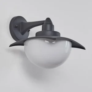 hofstein Applique murale d'extérieur Spessa Anthracite, 1 lumière* Lampes Modernes