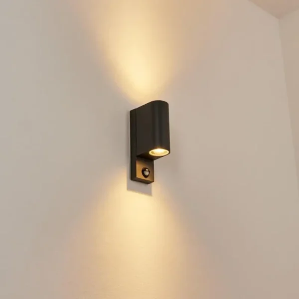 hofstein Applique murale d'extérieur Kingstown Anthracite, Transparent, 2 lumières, Détecteur de mouvement* Lampes Modernes
