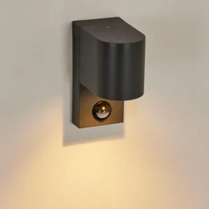 hofstein Applique murale d'extérieur Kingstown Anthracite, Transparent, 1 lumière, Détecteur de mouvement* Lampes Modernes