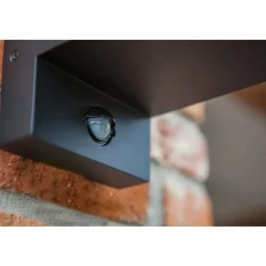 Luminaires Lutec Applique murale d'extérieur Lutec Flair Noir, 1 lumière, Détecteur de mouvement* Lampes En Verre