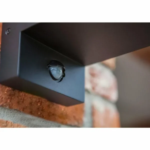 Luminaires Lutec Applique murale d'extérieur Lutec Flair Noir, 1 lumière, Détecteur de mouvement* Lampes En Verre