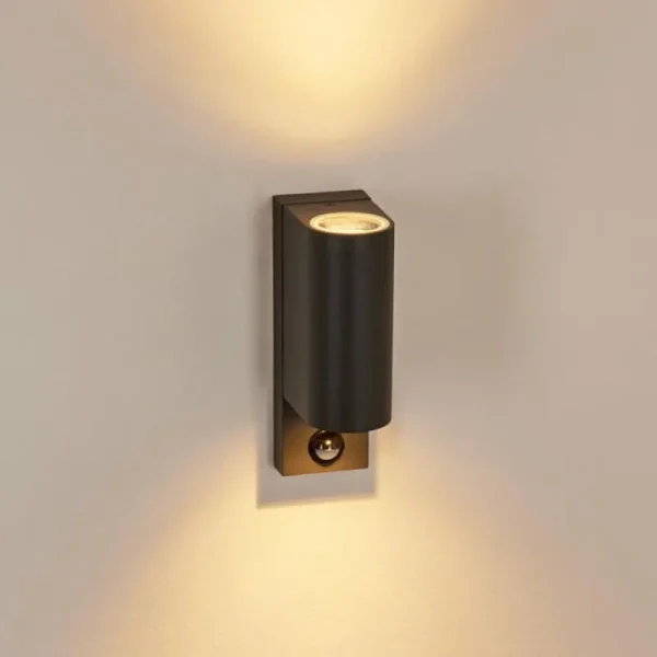 hofstein Applique murale d'extérieur Kingstown Anthracite, Transparent, 2 lumières, Détecteur de mouvement* Lampes Modernes
