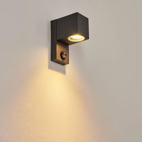 hofstein Applique murale d'extérieur Kingstown Anthracite, Transparent, 1 lumière, Détecteur de mouvement* Lampes Modernes