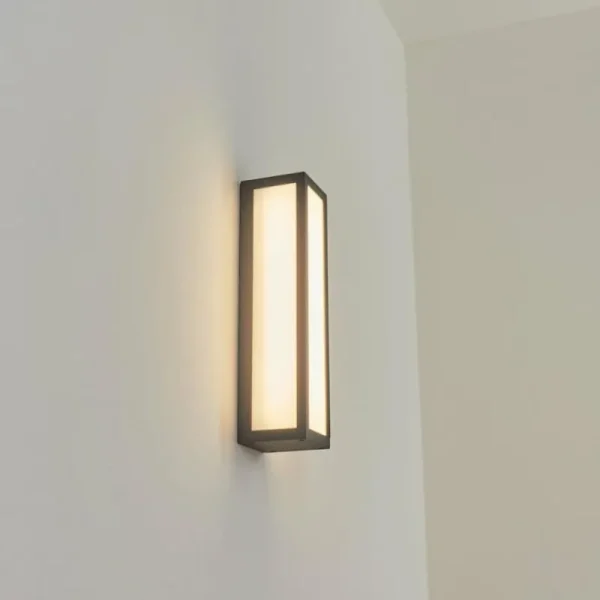 hofstein Applique murale d'extérieur Apidou LED Anthracite, 1 lumière* Lampes Modernes