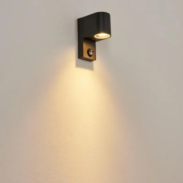 hofstein Applique murale d'extérieur Kingstown Anthracite, Transparent, 1 lumière, Détecteur de mouvement* Lampes Modernes