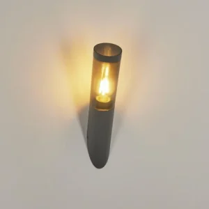 hofstein Applique murale d'extérieur Gaborone Anthracite, 1 lumière* Lampes Modernes