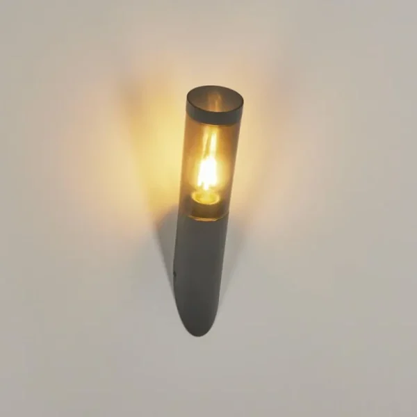 hofstein Applique murale d'extérieur Gaborone Anthracite, 1 lumière* Lampes Modernes