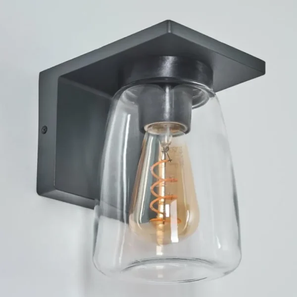 hofstein Applique murale d'extérieur Aquin Anthracite, 1 lumière* Lampes Modernes