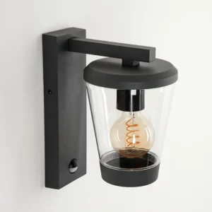 hofstein Applique murale d'extérieur Eloida Anthracite, 1 lumière, Détecteur de mouvement* Lampes Modernes