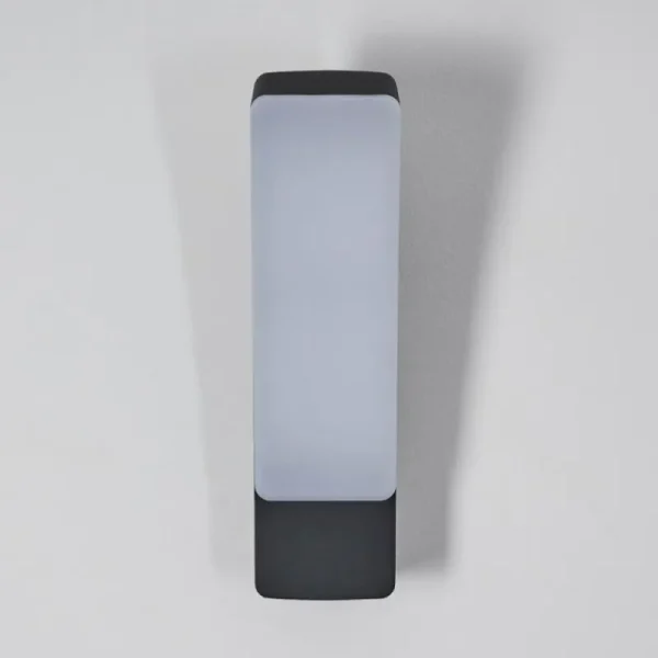 hofstein Applique murale d'extérieur Maseru LED Anthracite, 1 lumière* Lampes Modernes