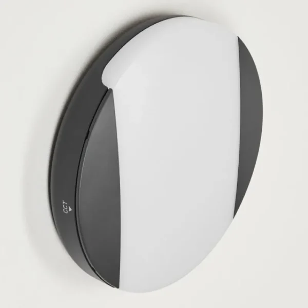 hofstein Applique murale d'extérieur Joserand LED Anthracite, 1 lumière* Lampes Modernes