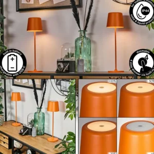 hofstein Belece Lampe de table d'extérieur, Lampe à poser LED Orange, 1 lumière* Lampes Modernes