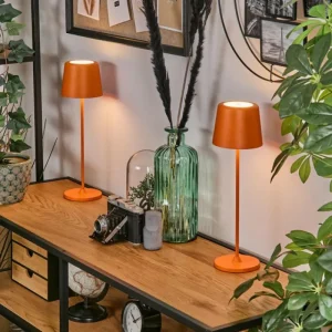 hofstein Belece Lampe de table d'extérieur, Lampe à poser LED Orange, 1 lumière* Lampes Modernes