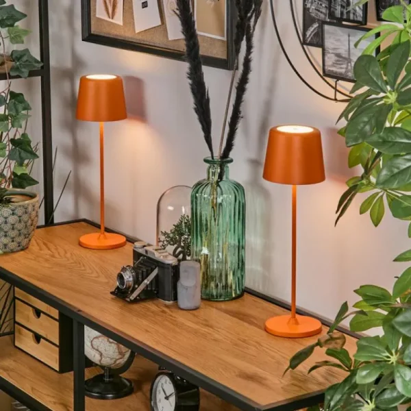 hofstein Belece Lampe de table d'extérieur, Lampe à poser LED Orange, 1 lumière* Lampes Modernes