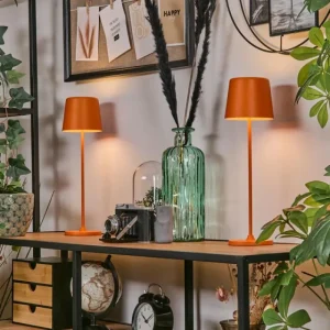hofstein Belece Lampe de table d'extérieur, Lampe à poser LED Orange, 1 lumière* Lampes Modernes