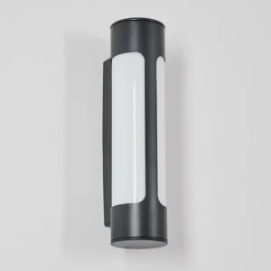 hofstein Biran Lampe murale d´extérieur, Applique murale LED Anthracite, 1 lumière* Lampes Modernes