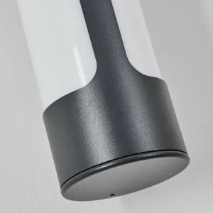 hofstein Biran Lampe murale d´extérieur, Applique murale LED Anthracite, 1 lumière* Lampes Modernes
