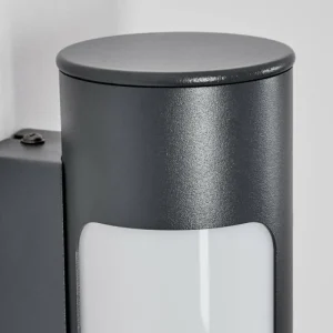 hofstein Biran Lampe murale d´extérieur, Applique murale LED Anthracite, 1 lumière* Lampes Modernes