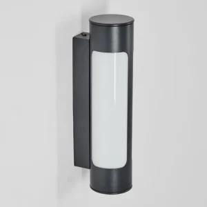 hofstein Biran Lampe murale d´extérieur, Applique murale LED Anthracite, 1 lumière* Lampes Modernes