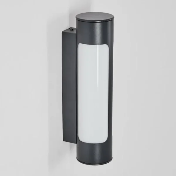 hofstein Biran Lampe murale d´extérieur, Applique murale LED Anthracite, 1 lumière* Lampes Modernes