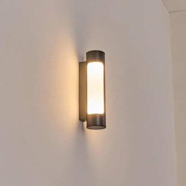 hofstein Biran Lampe murale d´extérieur, Applique murale LED Anthracite, 1 lumière* Lampes Modernes