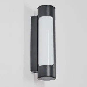 hofstein Biran Lampe murale d´extérieur, Applique murale LED Anthracite, 1 lumière* Lampes Modernes