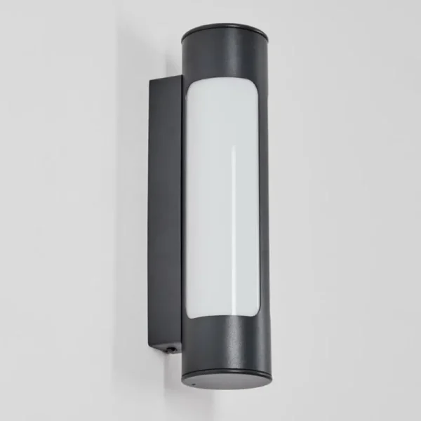 hofstein Biran Lampe murale d´extérieur, Applique murale LED Anthracite, 1 lumière* Lampes Modernes
