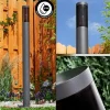 hofstein Borne lumineuse Gaborone Anthracite, 1 lumière* Lampes Modernes