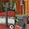 hofstein Borne lumineuse Toogong LED Anthracite, 1 lumière* Lampes Modernes