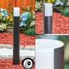 hofstein Borne lumineuse Baulund LED Noir, 1 lumière* Lampes Modernes