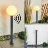 hofstein Borne lumineuse Bubodefo Anthracite, 1 lumière, Détecteur de mouvement* Lampes Modernes