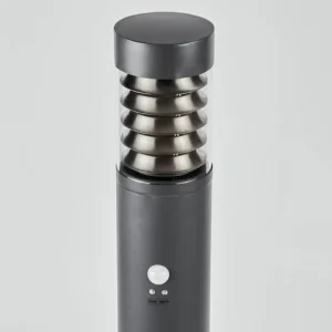 hofstein Borne lumineuse Dakar Anthracite, 1 lumière, Détecteur de mouvement* Lampes Modernes
