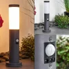 hofstein Borne lumineuse Gaborone Anthracite, 1 lumière, Détecteur de mouvement* Lampes Modernes