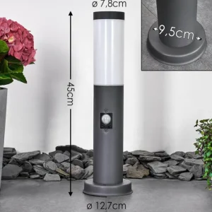 hofstein Borne lumineuse Gaborone Anthracite, 1 lumière, Détecteur de mouvement* Lampes Modernes