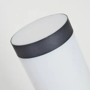 hofstein Borne lumineuse Gaborone Anthracite, 1 lumière, Détecteur de mouvement* Lampes Modernes