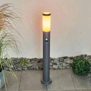 hofstein Borne lumineuse Gaborone Anthracite, 1 lumière, Détecteur de mouvement* Lampes Modernes