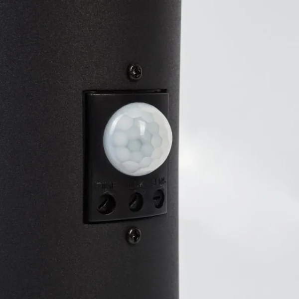 hofstein Borne lumineuse Ruti Noir, 1 lumière, Détecteur de mouvement* Lampes Modernes