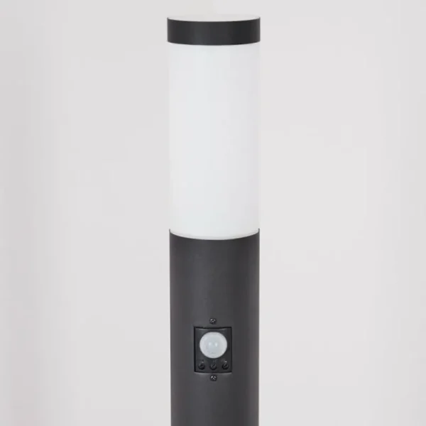 hofstein Borne lumineuse Ruti Noir, 1 lumière, Détecteur de mouvement* Lampes Modernes