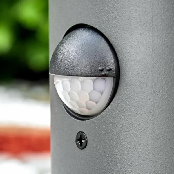 hofstein Borne lumineuse Schafhaus Anthracite, 1 lumière, Détecteur de mouvement* Lampes Modernes