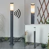 hofstein Borne lumineuse Sessa Anthracite, 1 lumière, Détecteur de mouvement* Lampes Modernes