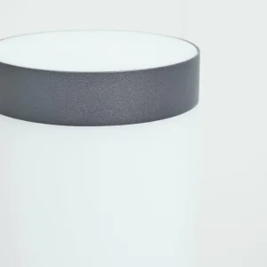 hofstein Borne lumineuse Sessa Anthracite, 1 lumière, Détecteur de mouvement* Lampes Modernes