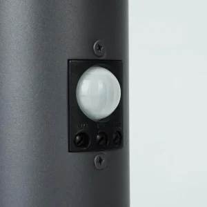 hofstein Borne lumineuse Sessa Anthracite, 1 lumière, Détecteur de mouvement* Lampes Modernes