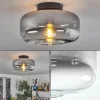 hofstein Boza Plafonnier Clair, Fumé, 1 lumière* Lampes Modernes